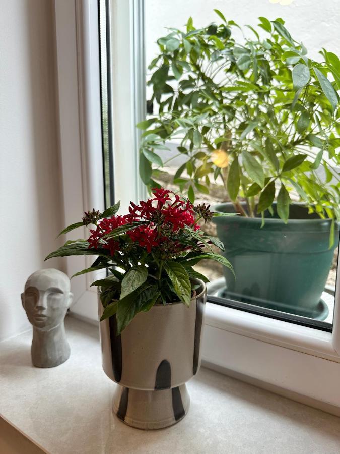 Olive View Apartment Брела Екстер'єр фото